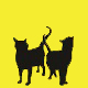 TwoCatsGang