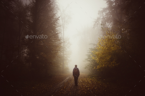 Man silhouette on unknown path in mysterious forest with fog - Stock Photo - Images