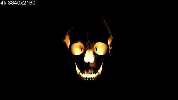 Burning Skull 4k