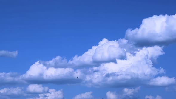 White Clouds In The Blue Sky Background Time Lapse 4k