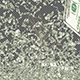 The Blowing Money - VideoHive Item for Sale