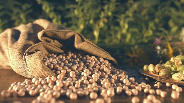 Still Life with Chickpeas alt
