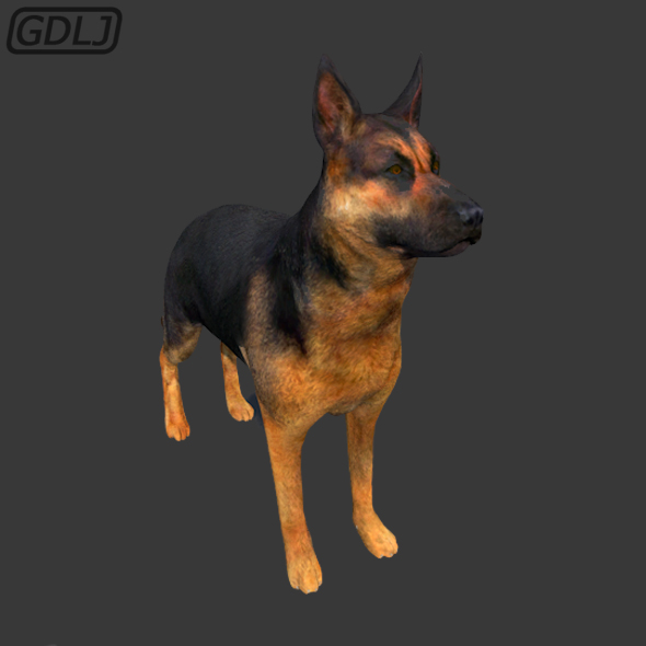DOG - 3Docean 22343361