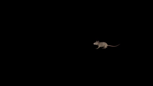 Moving Mouse