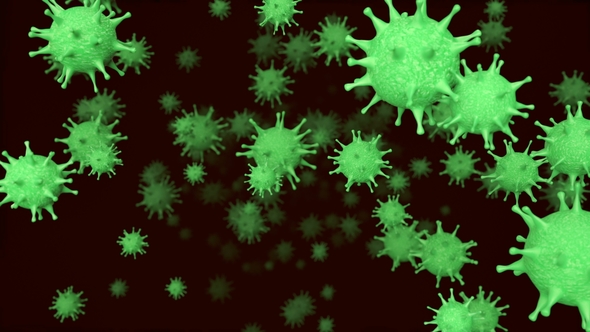 Deadly Bacterial Viral Cells in Bloodstream alt