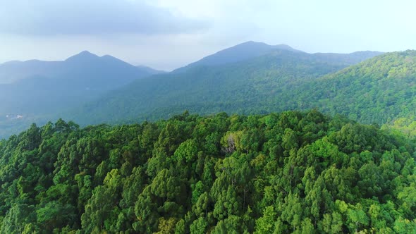 Thick Rainforest Landscape Hill Chain Aerial View