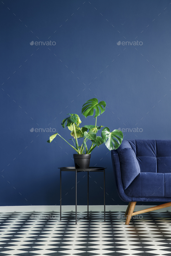 Part of a dark sofa next to a monstera deliciosa plant standing - Stock Photo - Images