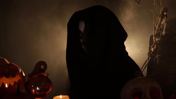 Woman in Mantle with Sugar Skull Makeup Turns Her Head To the Camera alt