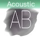 Warm Acoustic Melody
