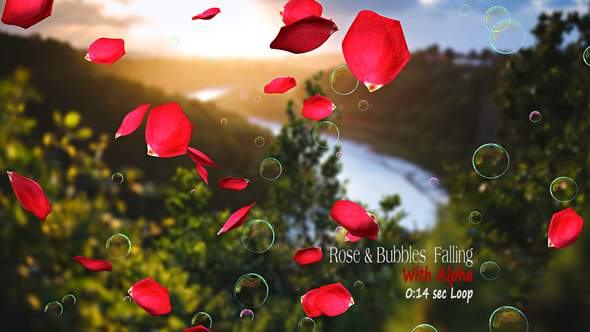 Rose & Bubbles Falling
