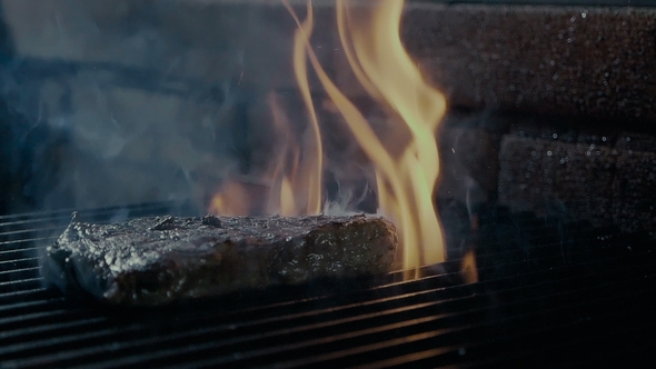 Delicious Fillet Meat on the Barbeque Grill alt