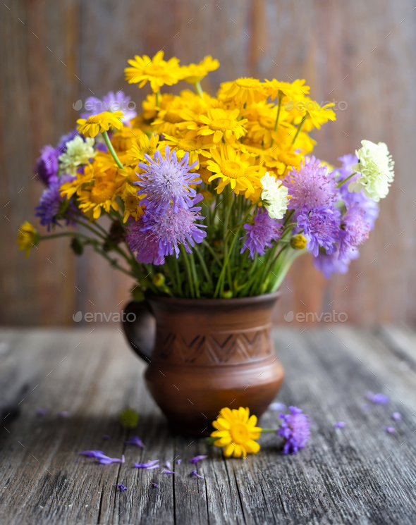 Bouquet of wildflowers (Anthemis tinctoria and Knautia arvensis) - Stock Photo - Images