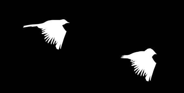Birds - Lark And Blackbird