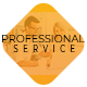 Professional Service Ad Banners