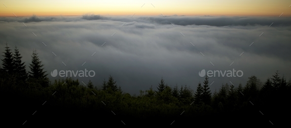 Scenic Foggy Landscape - Stock Photo - Images