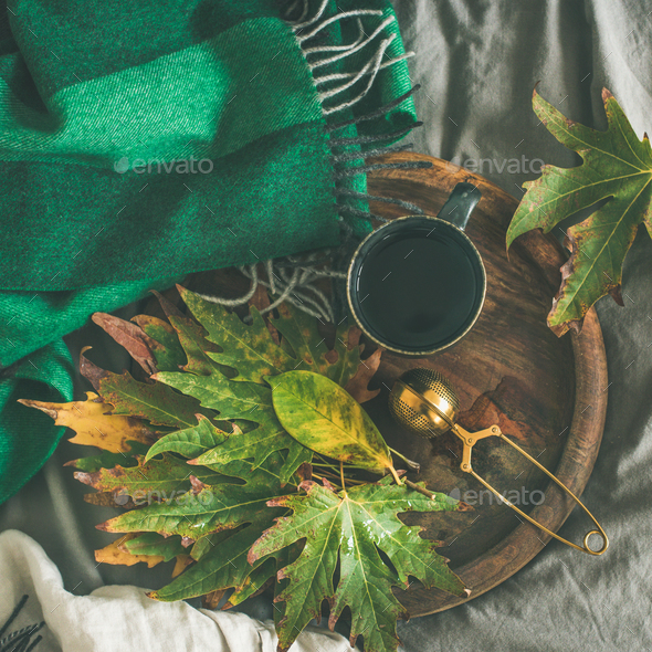 Mug of tea with sieve and autumn leaves, square crop - Stock Photo - Images