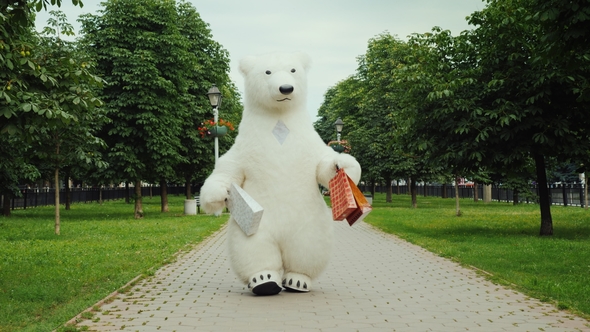 Successful Shopping A Polar Bear Walks In The Park With Packages For Shopping Stock Footage