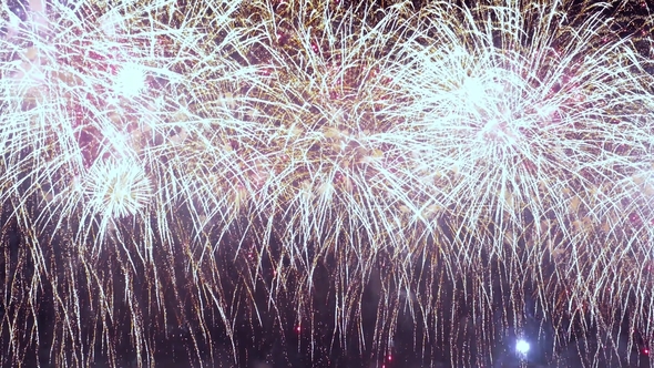 Colorful Fireworks Exploding in the Night Sky alt