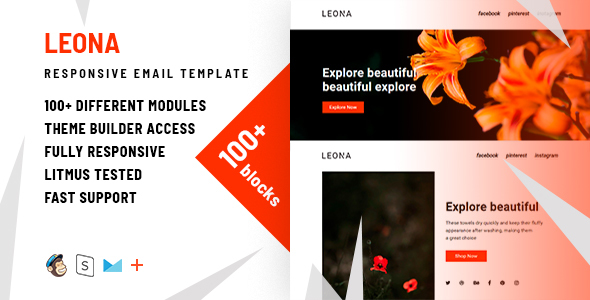 Carol – 100+ Modules - Responsive Email + StampReady Builder & Mailchimp Editor - 2