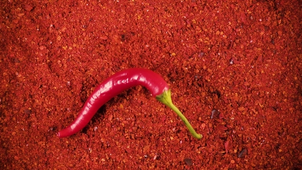 Pepper Pods Fall on Powder Top View