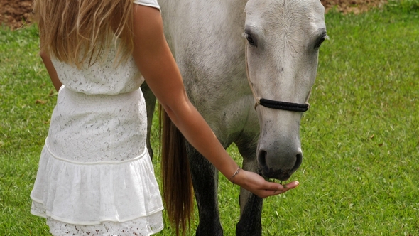 Woman Feeding Horse alt