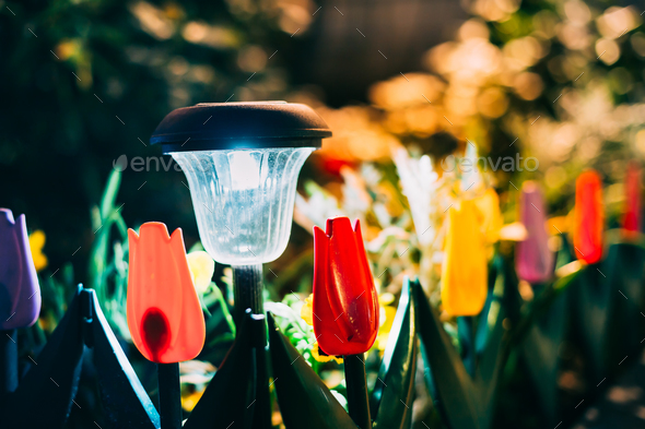 Solar Garden Light, Lantern In Flower Bed. Garden Design. Solar Stock Photo by Grigory_bruev