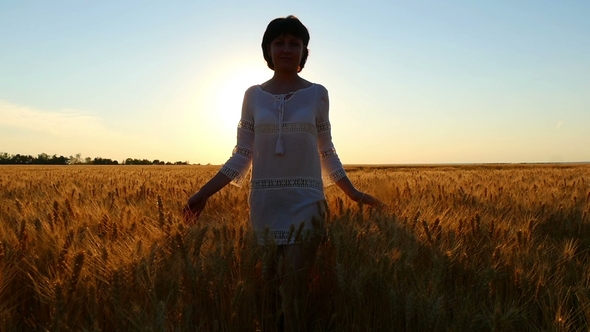 Young Attractive Girl Is Walking Along a Wheat Field in a White Dress on a Sunset Background alt