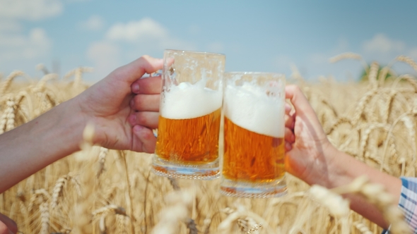 Successful Conclusion of the Deal and Drinking Beer on a Wheat Field From Mugs Are Doubled By alt