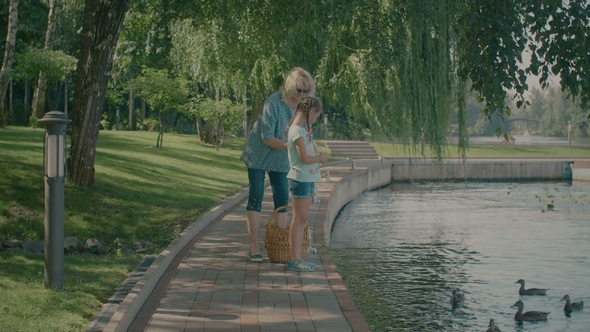 Grandmother with Her Grandchild Feeding Ducks at Pond, Stock Footage