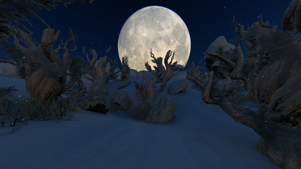 Winter Fairy Tale Forest And Big Moon