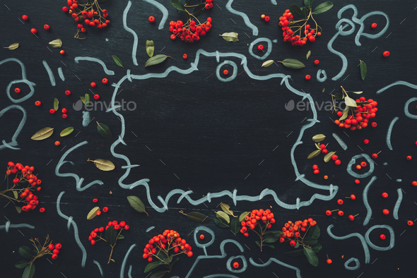 Flat lay wild red berries on dark background - Stock Photo - Images