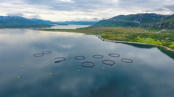 Aerial Footage Farm Salmon Fishing in Norway alt