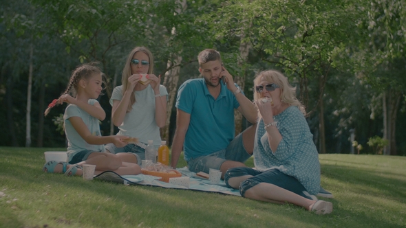Positive Multi Generation Family Enjoying Picnic alt