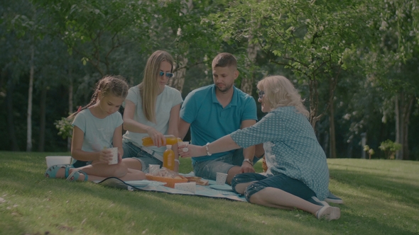 Mother Pouring Orange Juice Into Glasses on Picnic alt