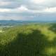 Aerial View at Green Forest - VideoHive Item for Sale