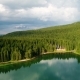 Aerial View of Blue Lake and Green Forests on a Sunny Summer Day in Black Lake, Montenegro - VideoHive Item for Sale