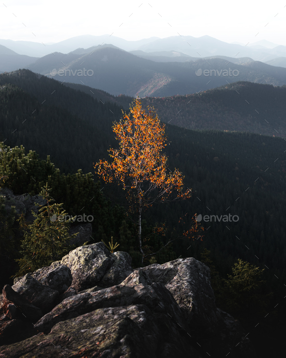 View of the stony hills glowing by evening sunlight - Stock Photo - Images