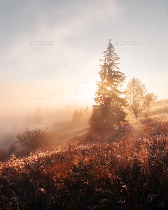 Amazing scene on autumn mountains - Stock Photo - Images