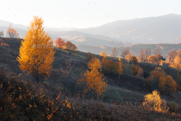 Amazing scene on autumn mountains - Stock Photo - Images