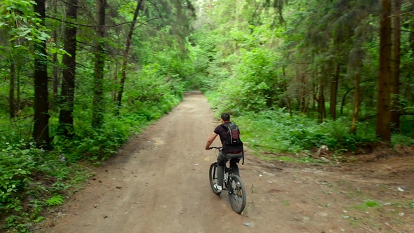 Man Riding Bicycle in Calm Green Woods