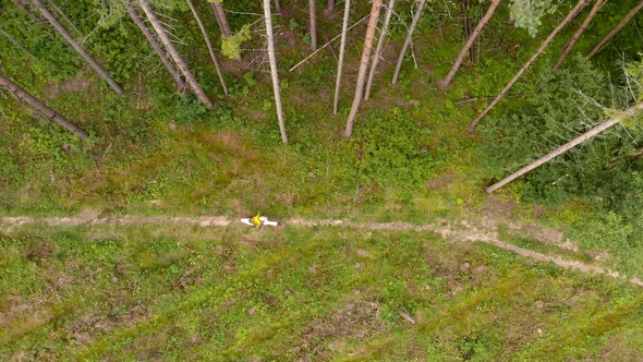 Enduro Motorcyclist Riding Alone in Remote Woods. Aerial Wiew