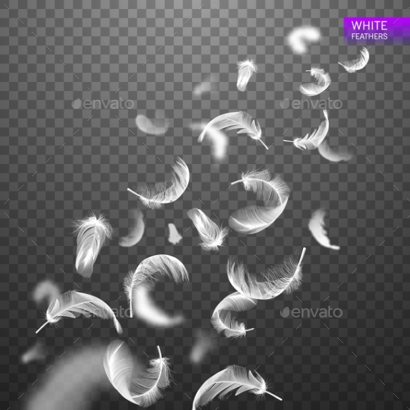 Falling Spirally Twirled Realistic Feathers - Miscellaneous Vectors