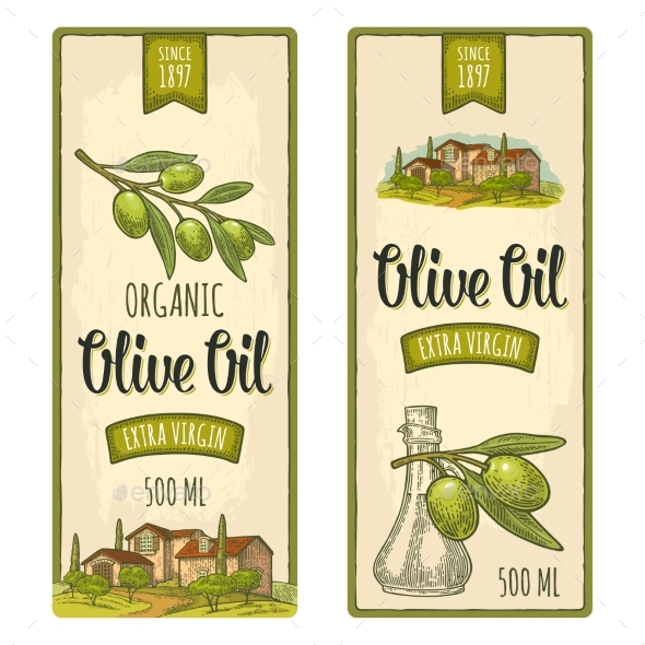 Olive Set - Food Objects