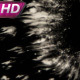 Flash Black Stars - VideoHive Item for Sale