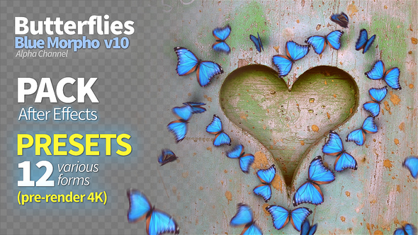 Butterfly Blue Morpho - VideoHive 22406424