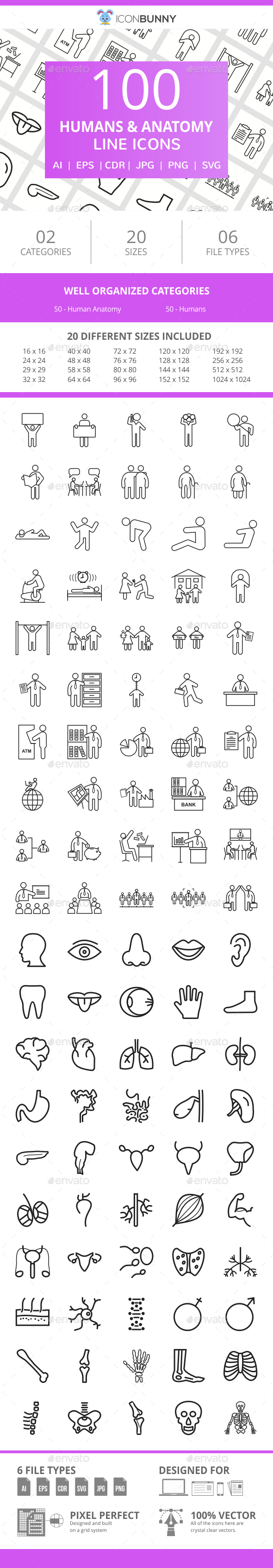 100 Humans & Anatomy Line Icons - Icons