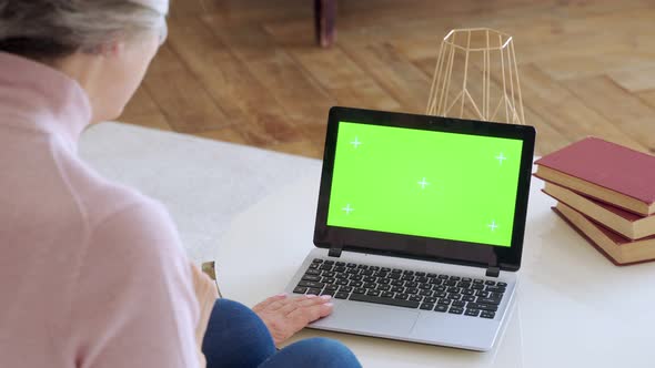 Elderly Mature Woman with Gray Hair and a Video Call on Her Laptop. Laptop with a Green Screen alt