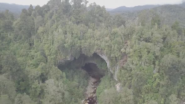 Huge cave in rainforest