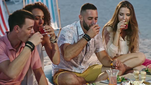 Awesome Beach Picnic with Friends alt