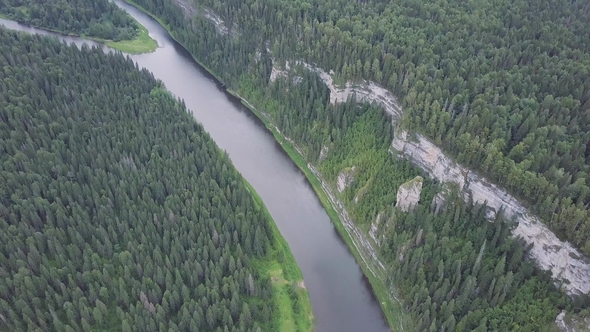 Aerial View of Forest River During Summer alt